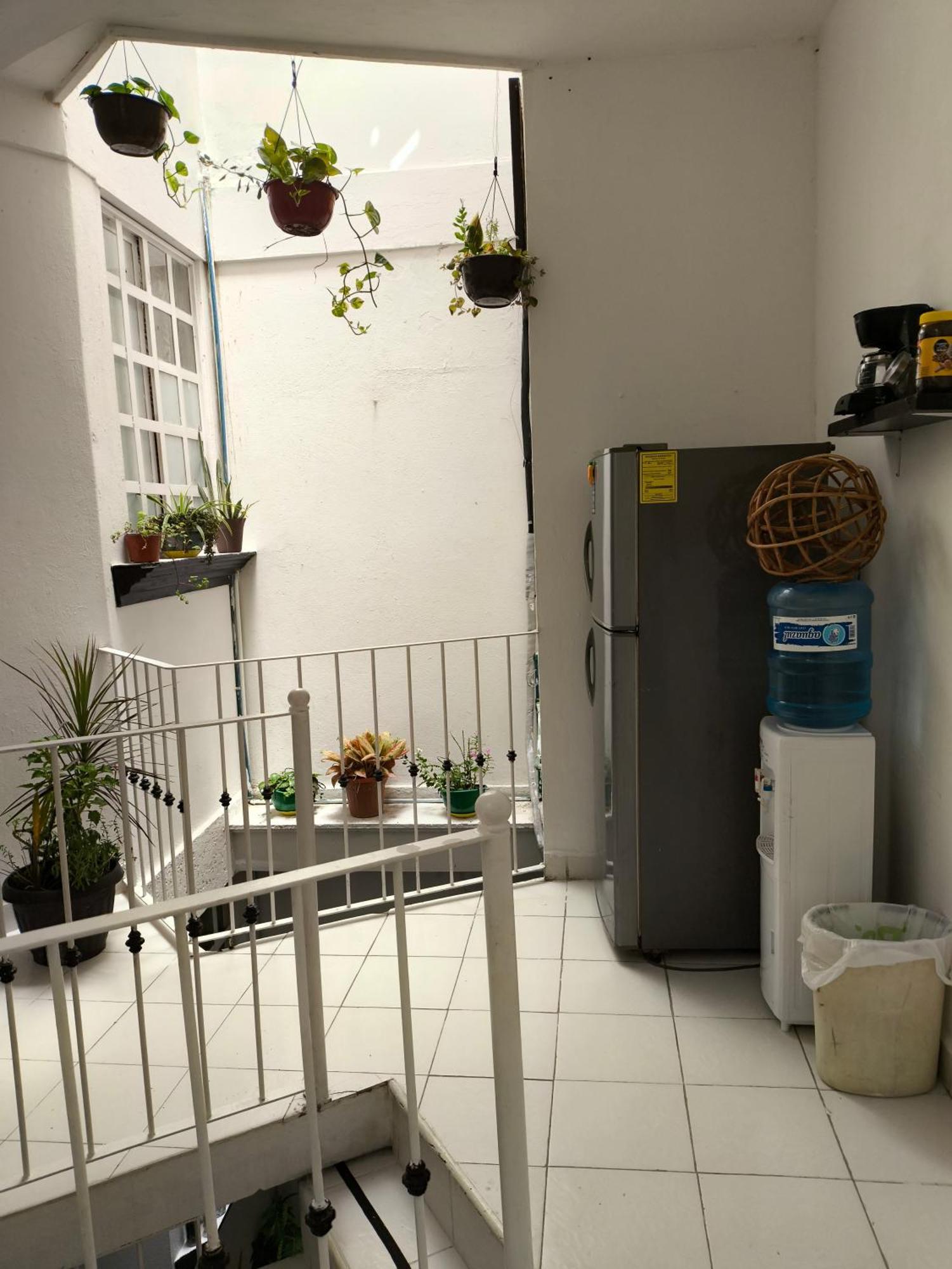 Hotel Casa Luna Palenque Dış mekan fotoğraf