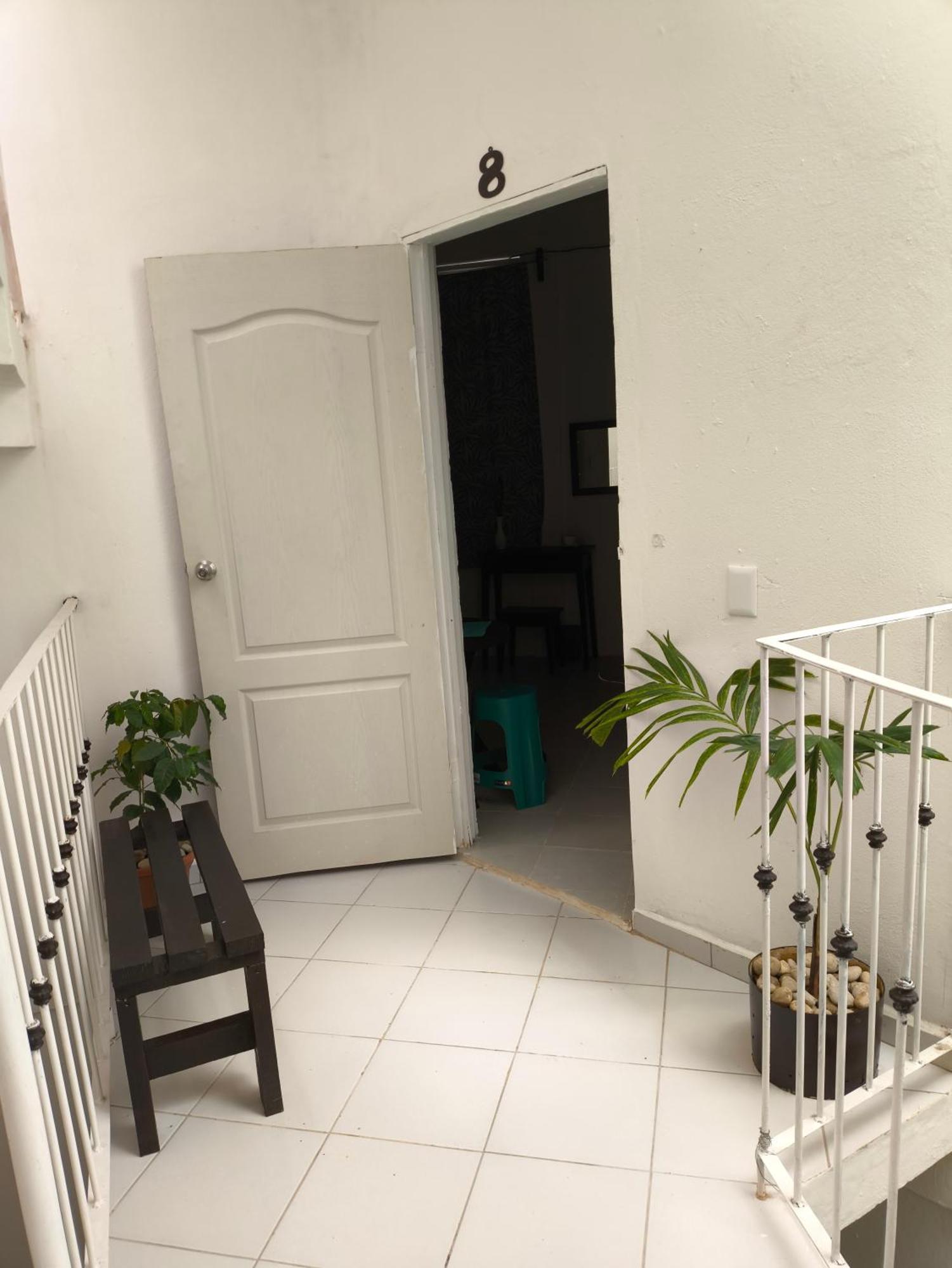 Hotel Casa Luna Palenque Dış mekan fotoğraf